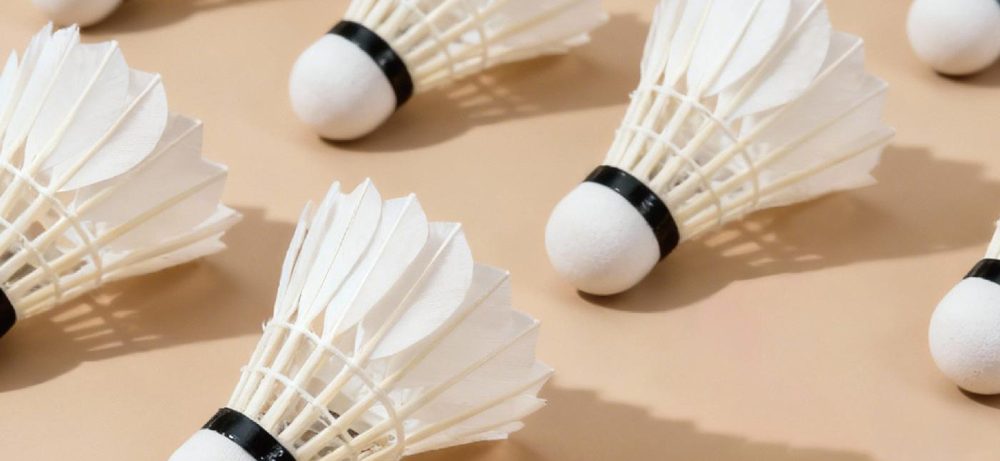 Badminton Shuttlecocks (OEM / Private Label)