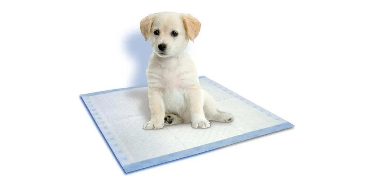Pet Hygiene Products (OEM / Private Label)